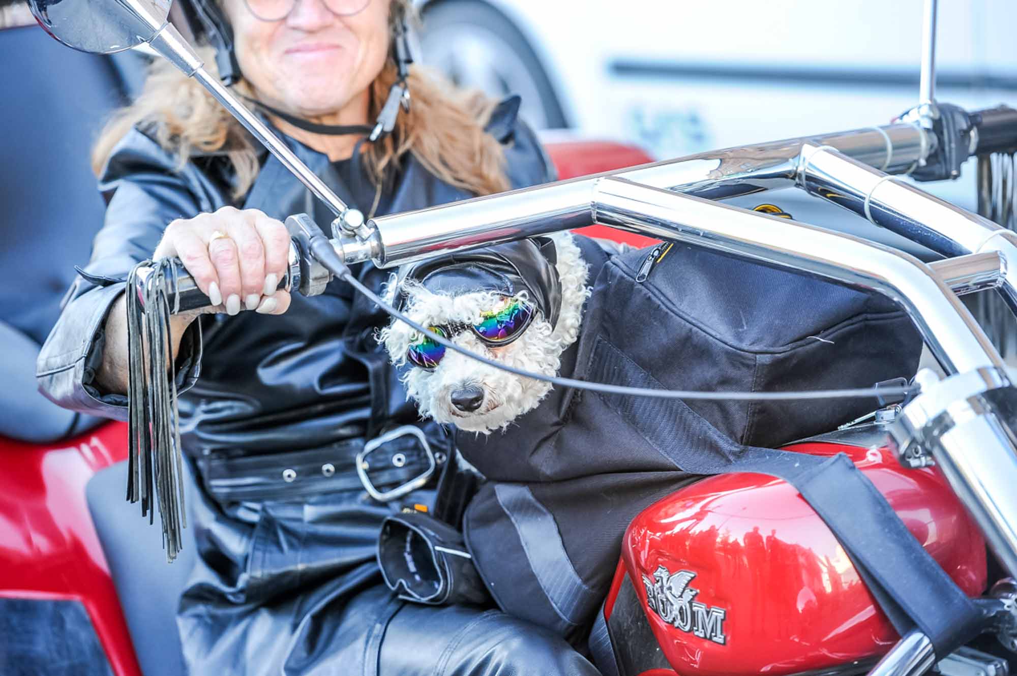 Pop-och-Rock-Wheels-2017-296