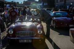 Pop-och-Rock-Wheels-2017-226