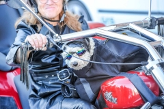 Pop-och-Rock-Wheels-2017-296