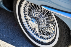 web_ESC7674