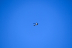 web_ESC7920